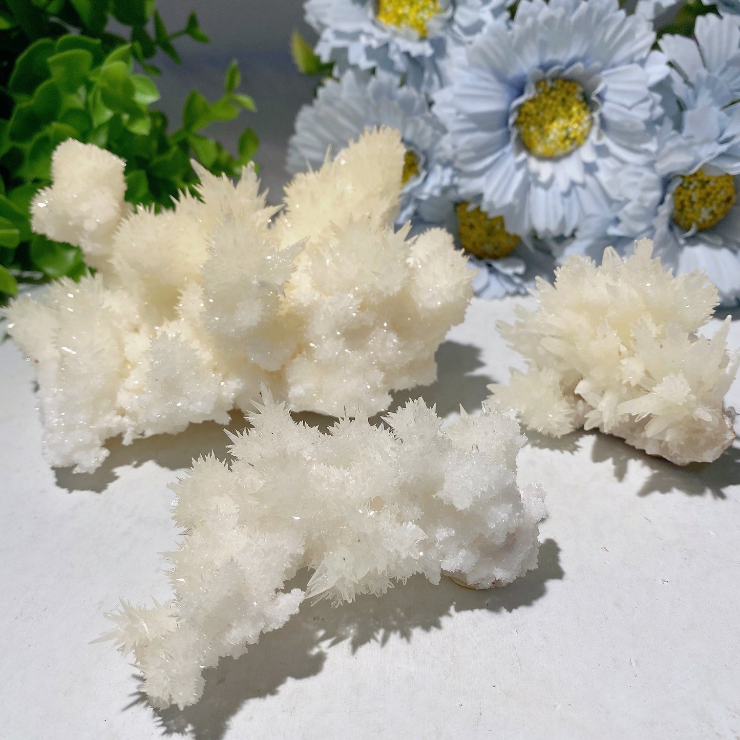 Selenite Growing with Calcite Specimen Bulk Wholesale