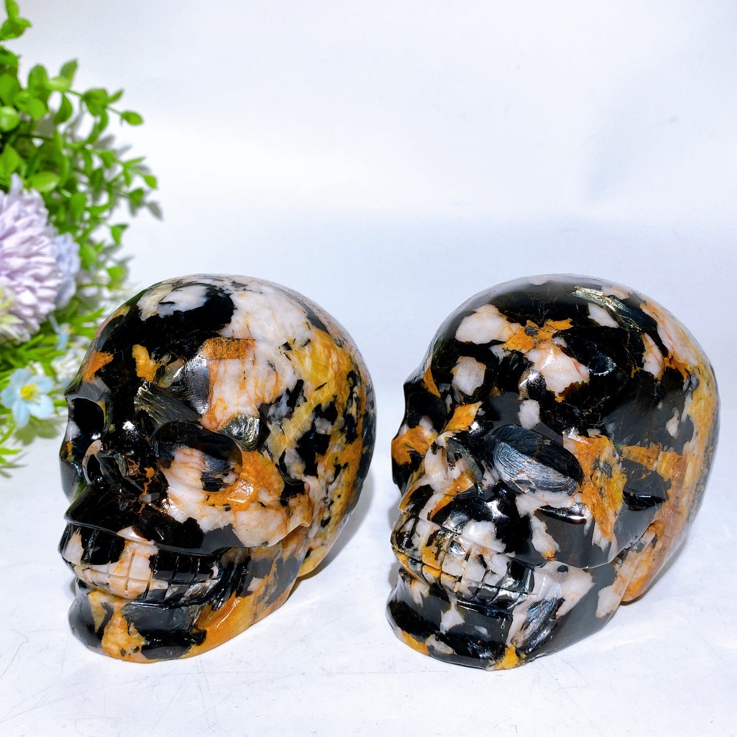 4.0" Black Mica Grow with Golden Healer Skull Carving Crystal Healing Bulk Wholesale