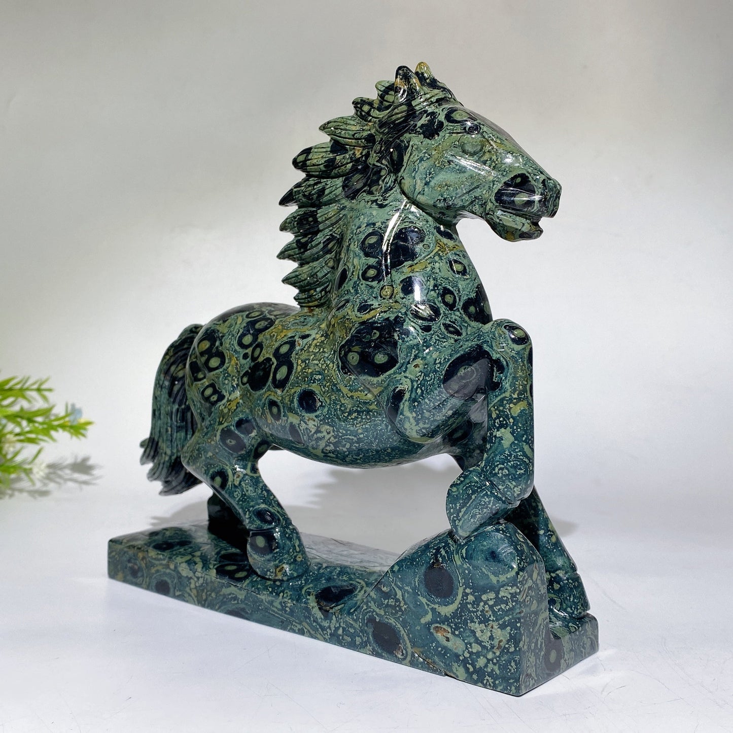 22cm Large Unqiue Kambaba Horse Carving Crystal Healing Bulk Wholesale