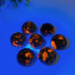 1.3" Yooperlite Planet Sphere Crystal Healing Bulk Wholesale