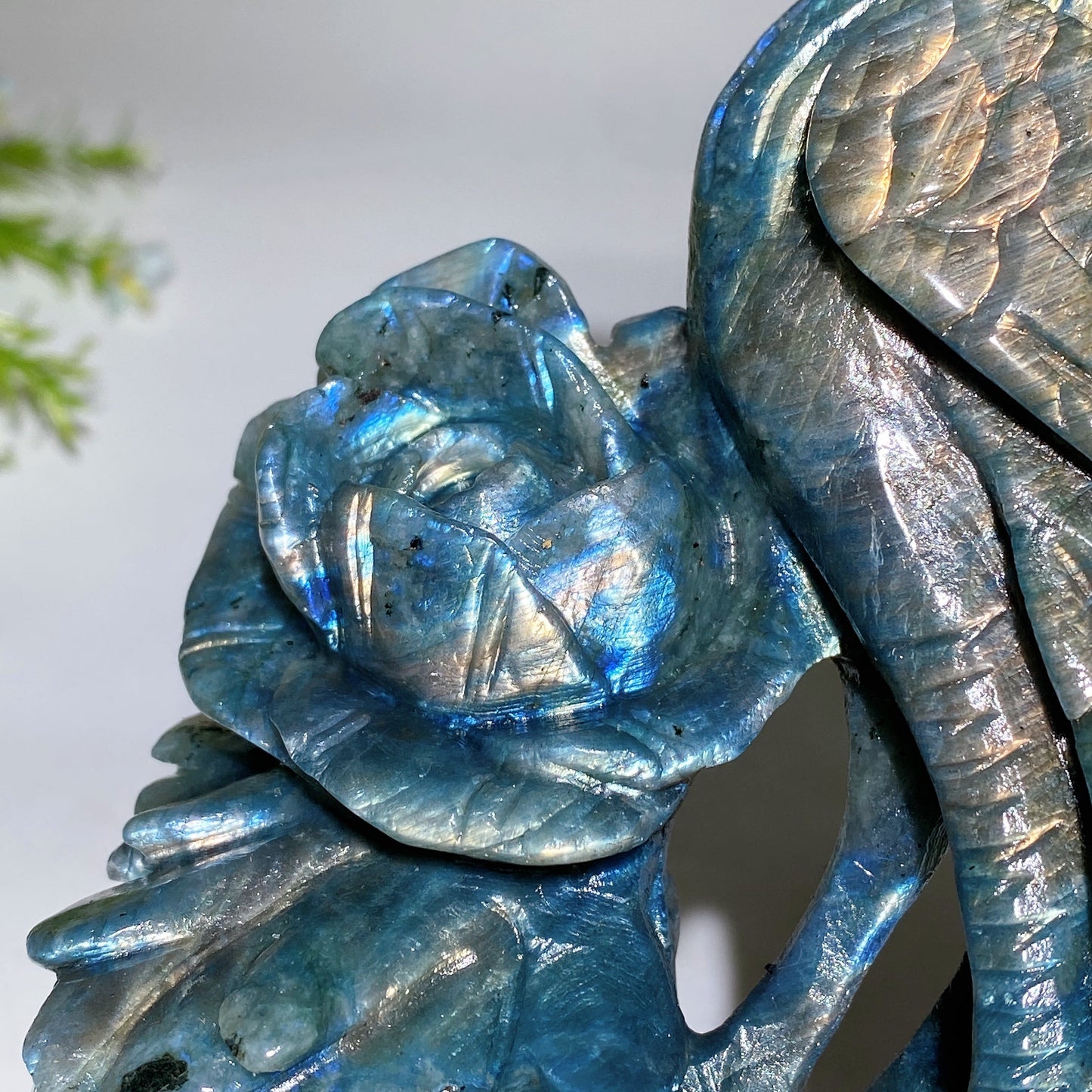 16cm Unique Labradorite Phoenix Carving Crystal Healing Bulk Wholesale