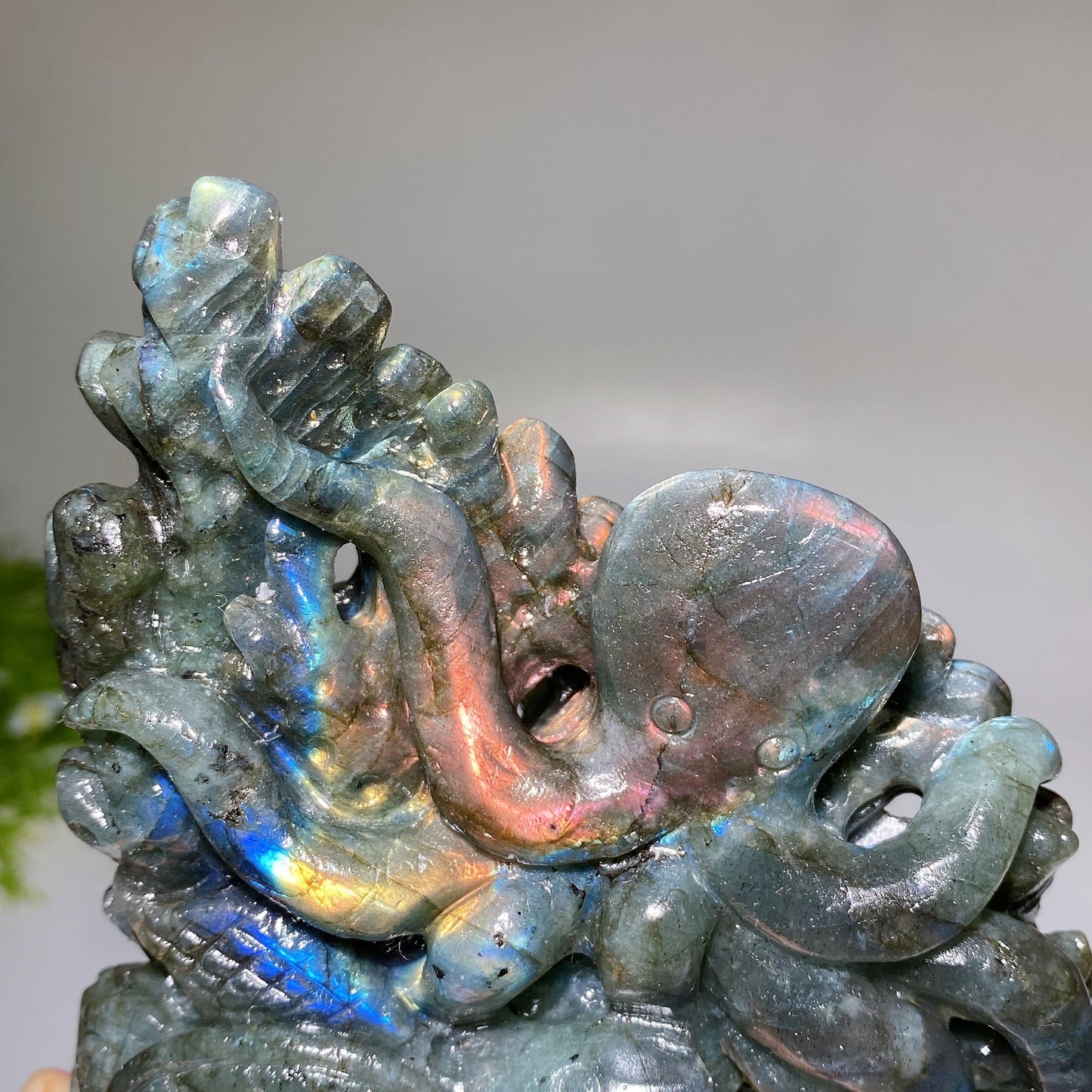14cm Unique Hand Carved Labradorite Ocean World Fish Turtle Octopus Carving Crystal Healing Bulk Wholesale
