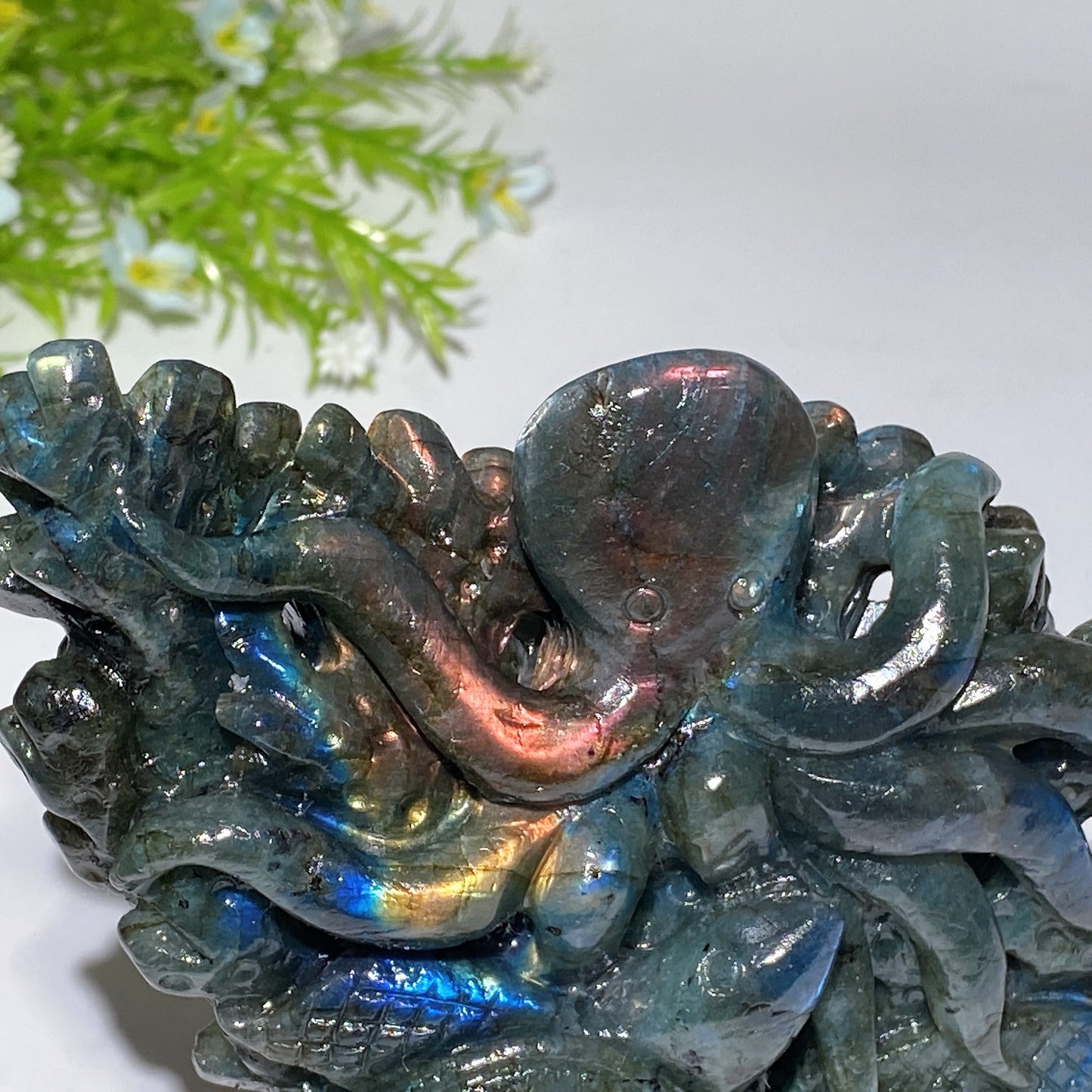 14cm Unique Hand Carved Labradorite Ocean World Fish Turtle Octopus Carving Crystal Healing Bulk Wholesale