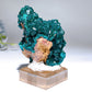 Unique Dipotase from Namibia Specimen Crystal Healing Bulk Wholesale
