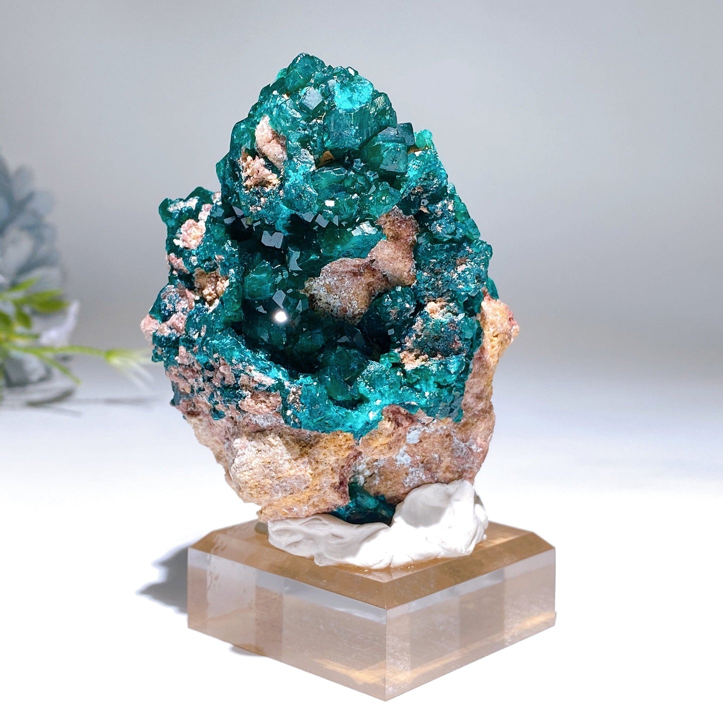 Unique Dipotase from Namibia Specimen Crystal Healing Bulk Wholesale