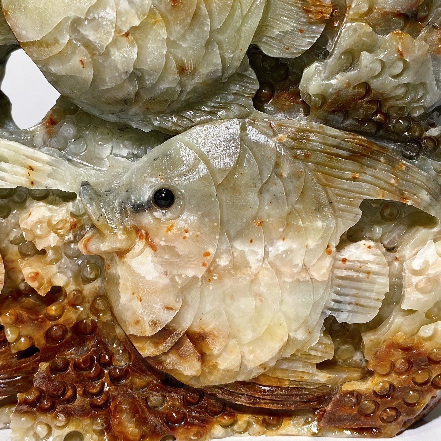 Hand Carved Unique Jade Ocean World Fish Coral Carving Free Form Crystal Healing Bulk Wholesale