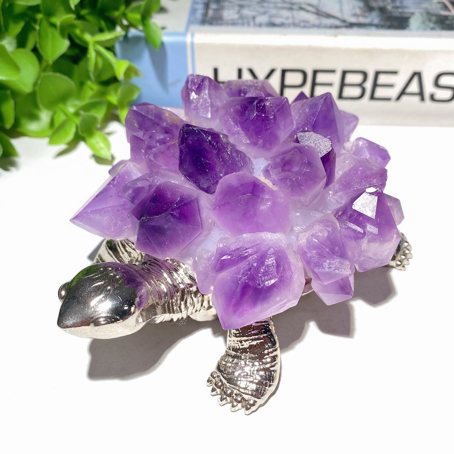 4.3" Amethyst Clusters Tortoise Free Form Bulk Wholesale