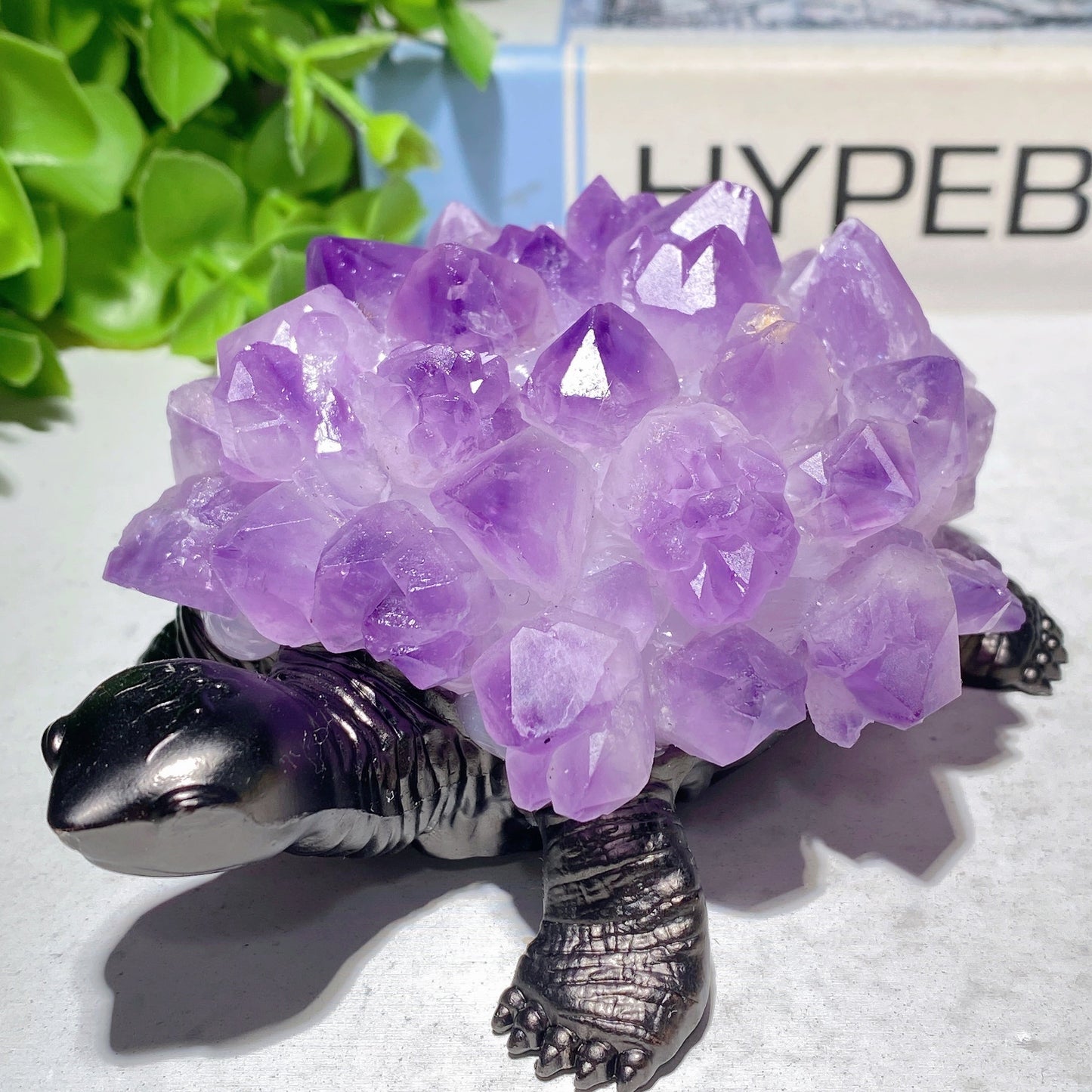 4.3" Amethyst Clusters Tortoise Free Form Bulk Wholesale