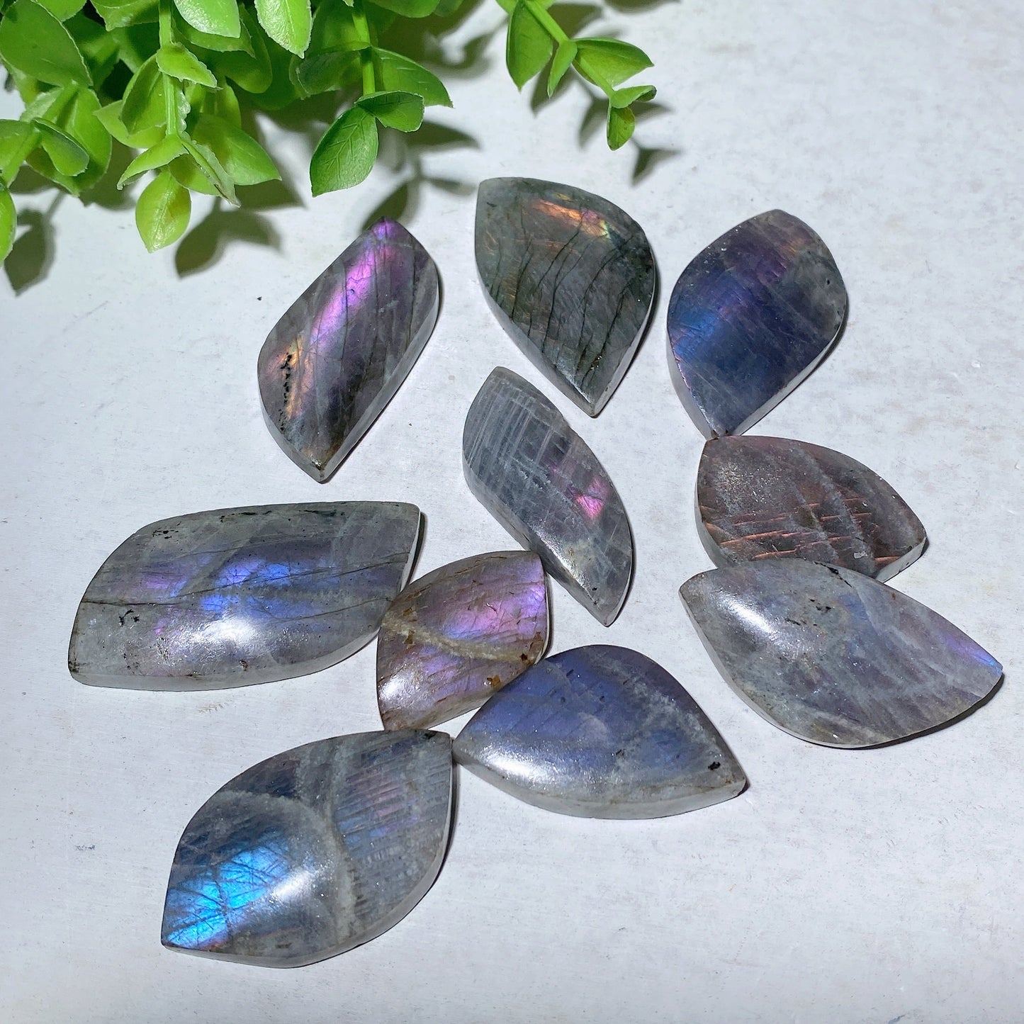 1.0"-2.0" Labradorite Palm Stone Bulk Wholesale