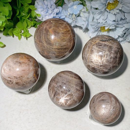 1.5"-3.0" Dark Moon Stone Sphere Bulk Wholesale