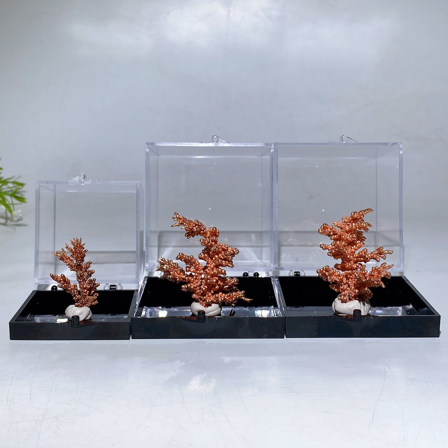 Copper Tree with Display Box Free Form Crystal Healing Bulk Wholesale