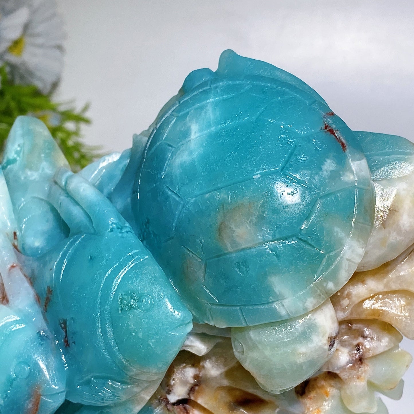 Hand Carved Unique Caribbean Calcite Ocean World Fish Turtle Coral Shell Carving Free Form Crystal Healing Bulk Wholesale