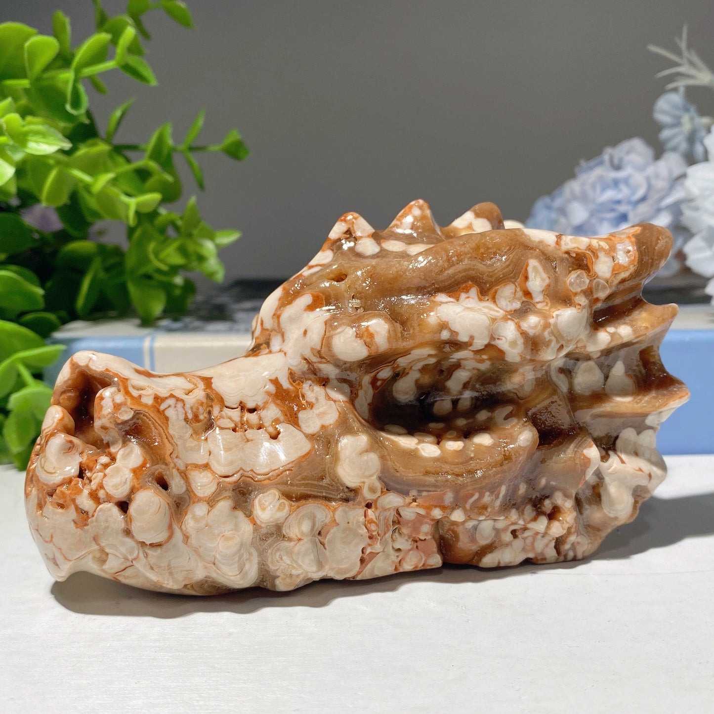 4.6" Chocolate Calcite Dragon Head Carvings Bulk Wholesale