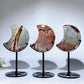 Picture Jasper Moon Carving with Stand Crystal Healing Bulk Wholesale