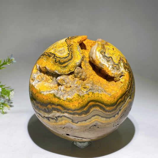15cm Unique Large Bumble Bee Jasper Sphere Crystal Healing Bulk Wholesale