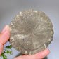2.8"-3.3" Pyrite Sun Carving Crystal Healing Bulk Wholesale