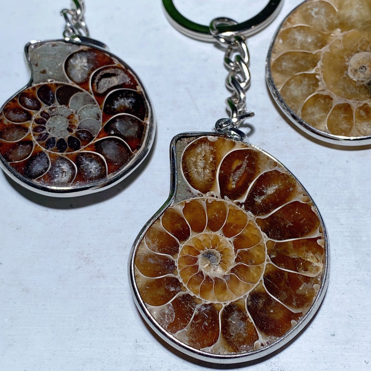 Ammonite Key Chain Ammonite Pendant Bulk Wholesale