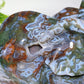 Large Unique Hand Carved Druzy Moss Agate Eelephant Crystal Healing Bulk Wholesale