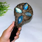 Natural Black Obsidian Mirror wtih Point Handle Labradorite Decor Crystal Healing Bulk Wholesale