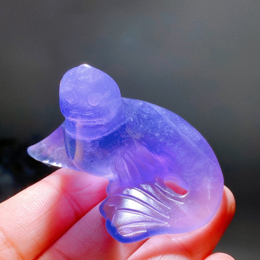 2.1" Fluorite Seal Carving Crystal Healing Bulk Wholesale