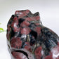 Natural Astrophylite Growing with Garnet Dinosaur Skull Carving Crystal Healing Bulk Wholesale
