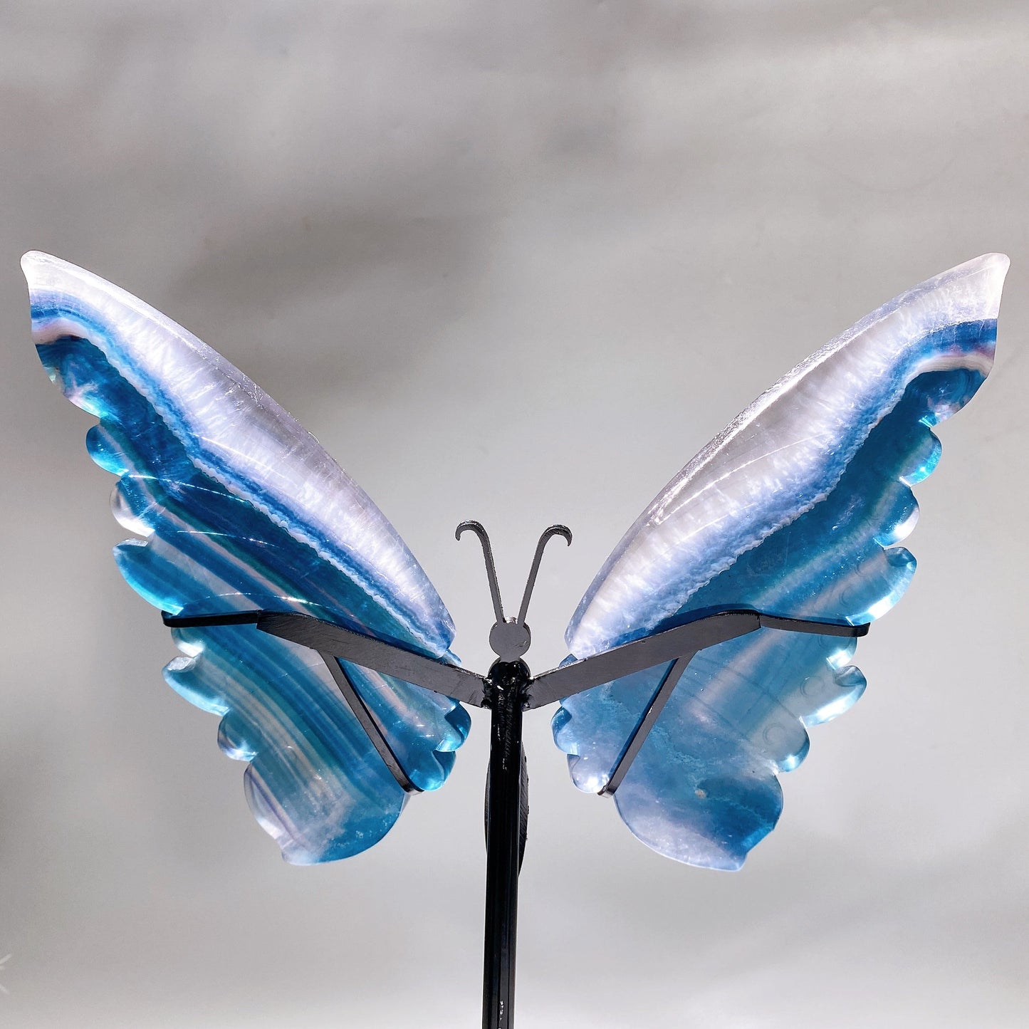 Large Unique Blue Green Fluorite Butterfly Wings Carving with Stand Crystal Healing Bulk Wholesale