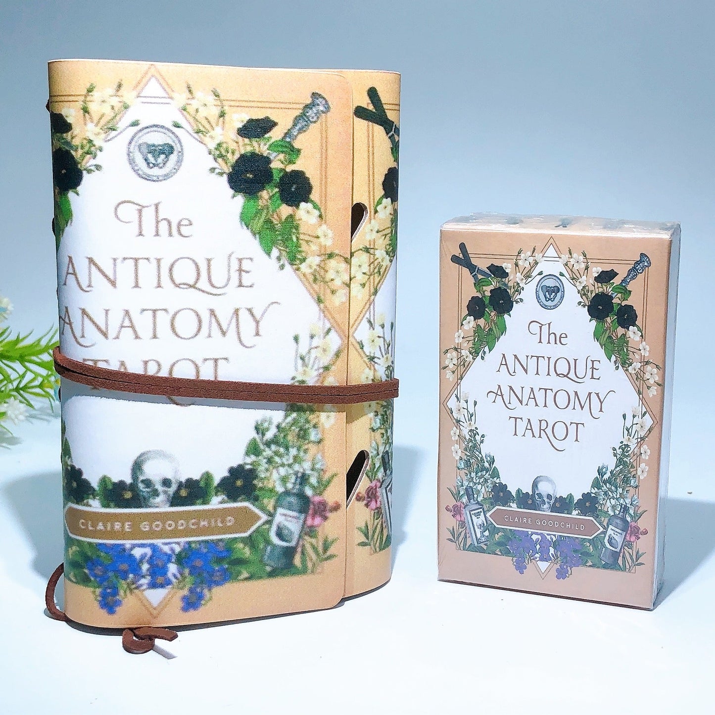 Tarot Cards with Notebook Crystal Healing Bulk Wholesale