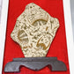 Fossil Trilobite Specimen Free Form with Gift Box Crystal Healing Bulk Wholesale