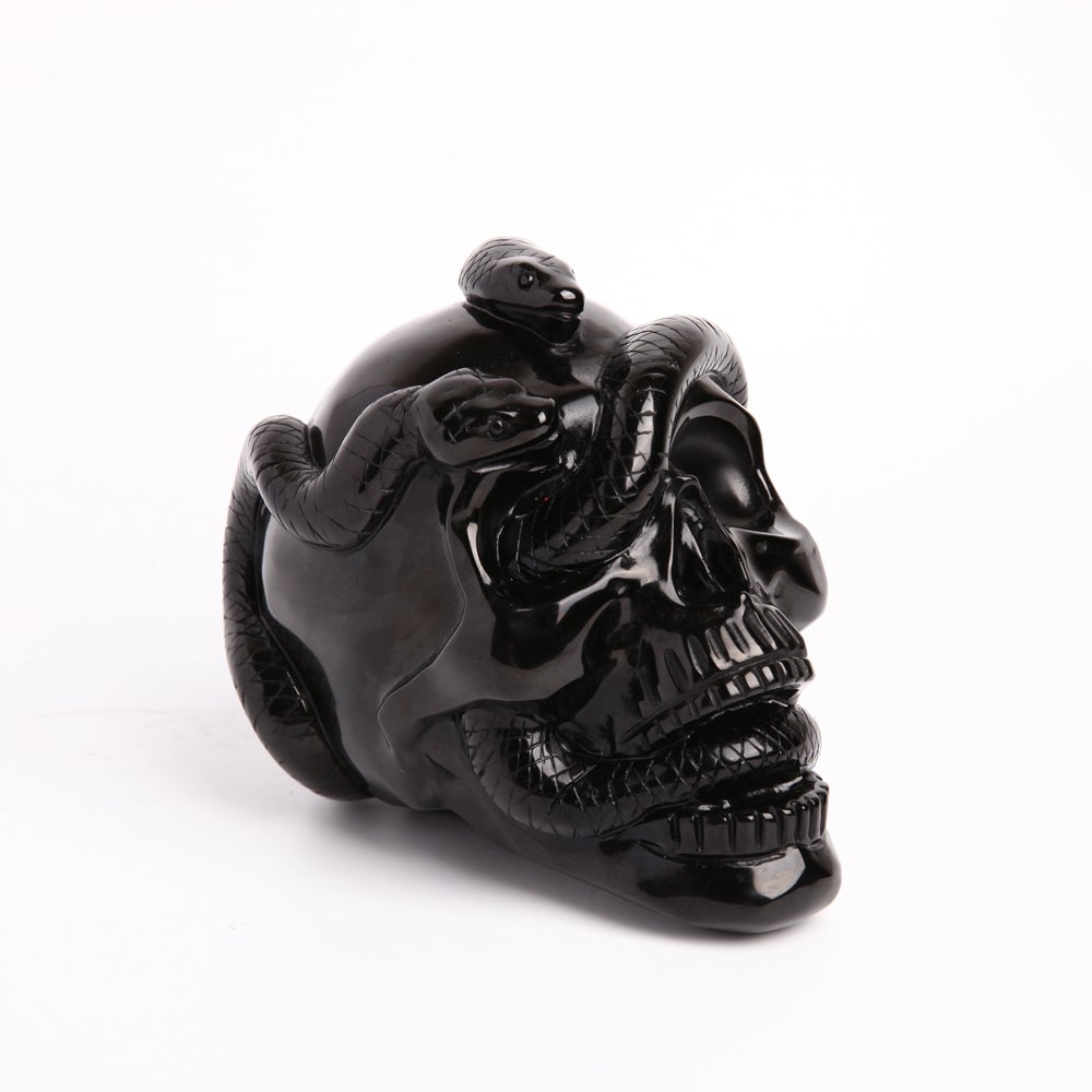 Unique Black Obsidian Crystal Carvings Skull for Halloween