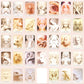 White Light Oracle Cards Bulk Wholesale