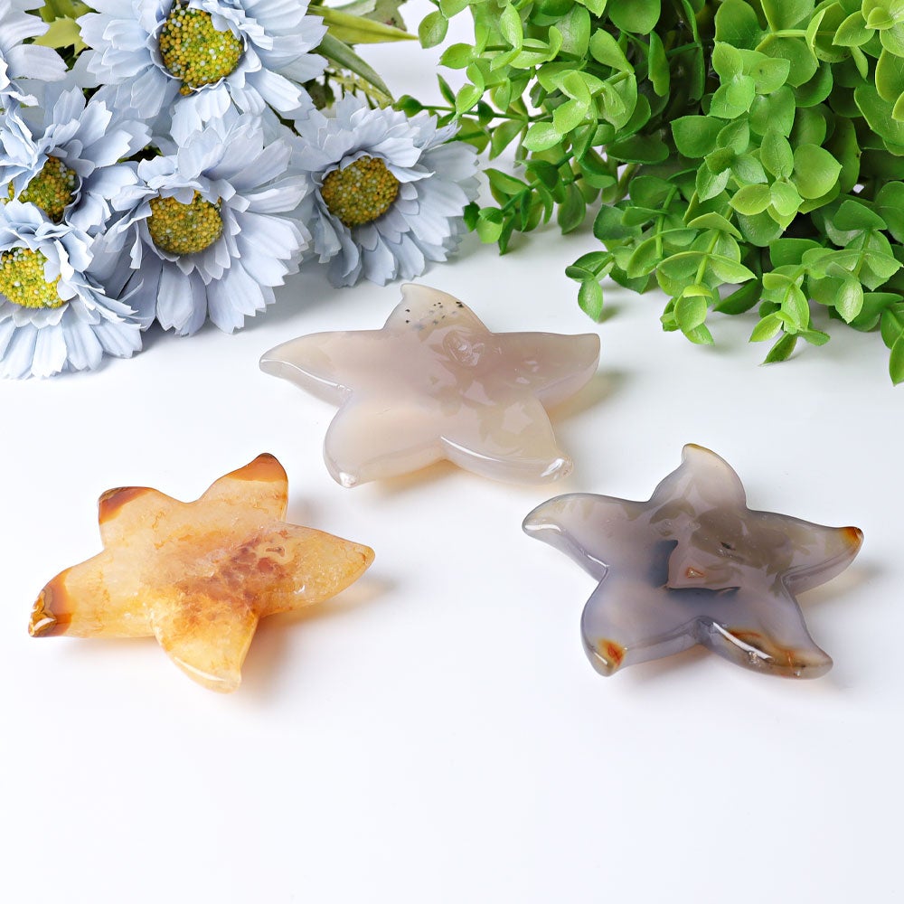 3.0"-3.5" Druzy Agate Starfish Crystal Carvings Crystal wholesale suppliers