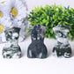 3“ Moss Agate Crystal Model Carvings Crystal wholesale suppliers
