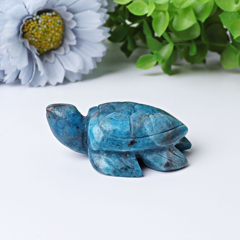 2.3" Blue Apatite Sea Turtle Crystal Carvings Crystal wholesale suppliers