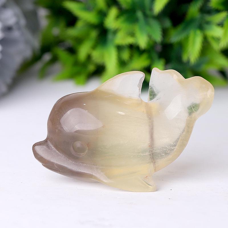 2.5" Fluorite Dolphin Crystal Carvings Crystal wholesale suppliers