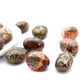 0.1kg High Quality Leopard Skin Jasper Tumble Stone  Crystal wholesale suppliers