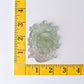 3" Fluorite Medusa Crystal Carvings Crystal wholesale suppliers
