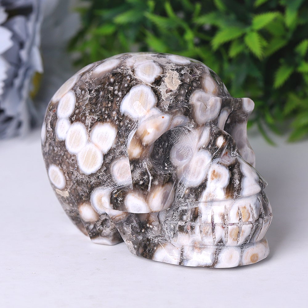 3.6" Unique Ocean Jasper Crystal Skull Carvings for Halloween