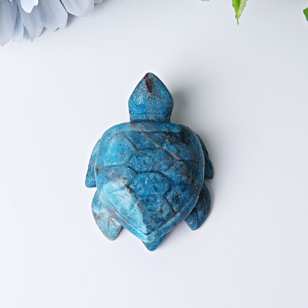 2.3" Blue Apatite Sea Turtle Crystal Carvings Crystal wholesale suppliers