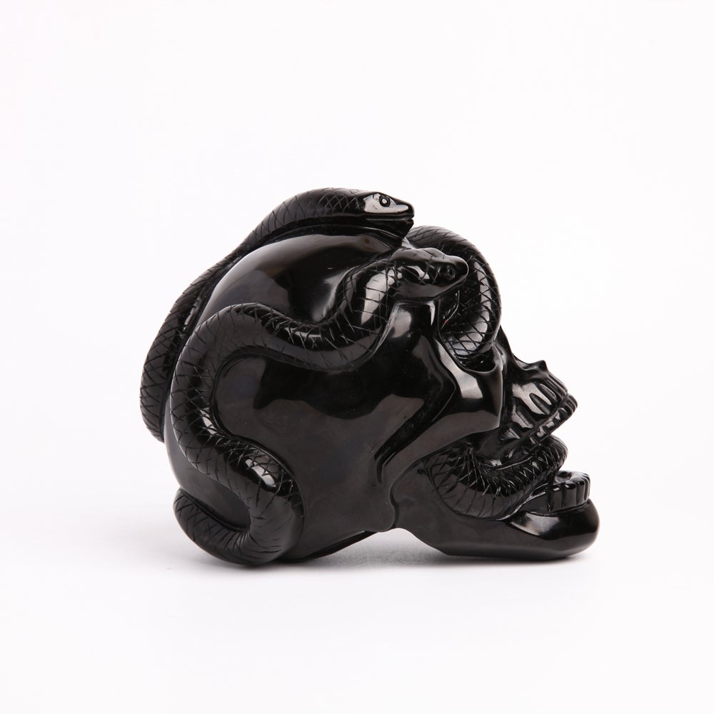 Unique Black Obsidian Crystal Carvings Skull for Halloween