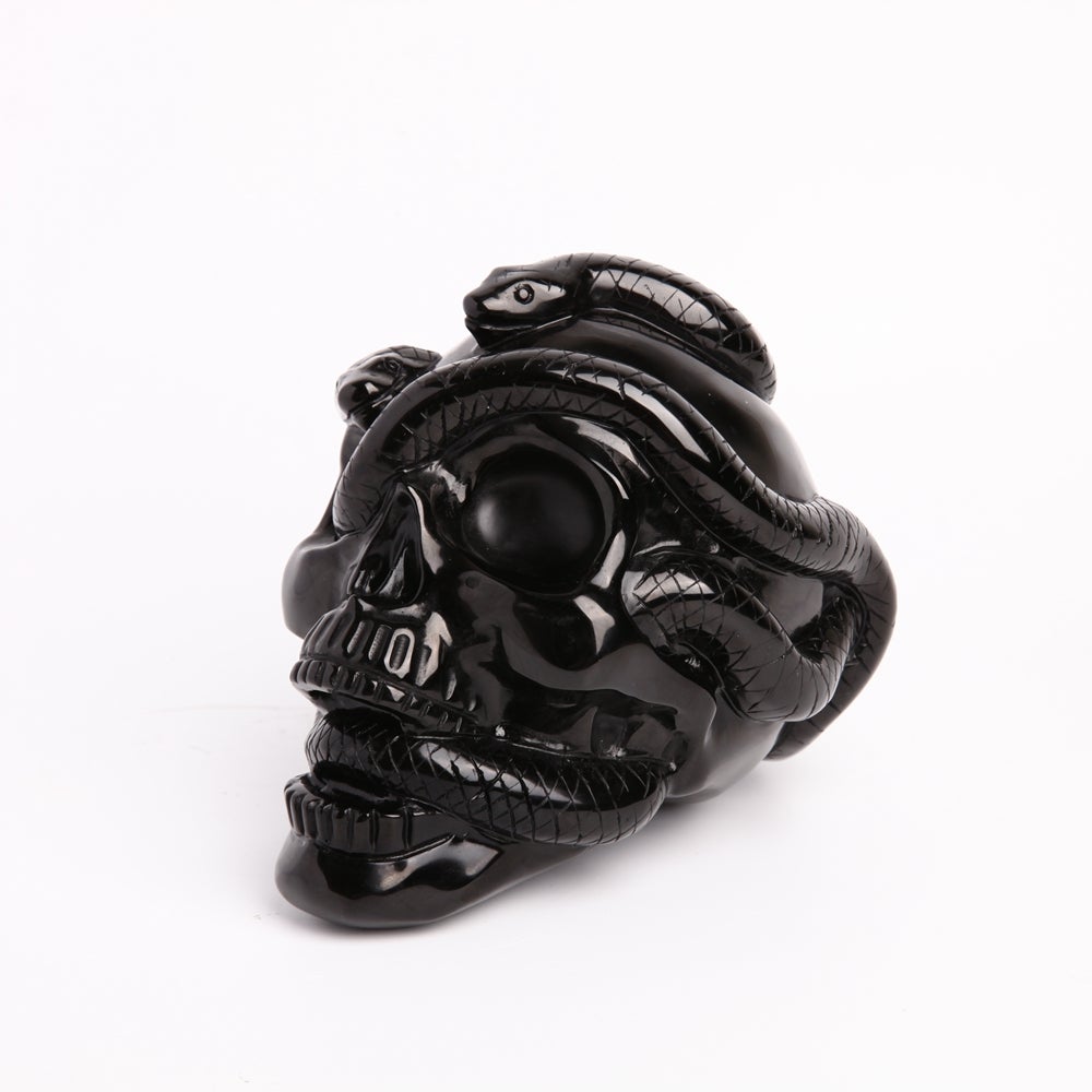 Unique Black Obsidian Crystal Carvings Skull for Halloween