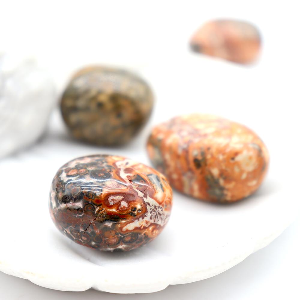 0.1kg High Quality Leopard Skin Jasper Tumble Stone  Crystal wholesale suppliers