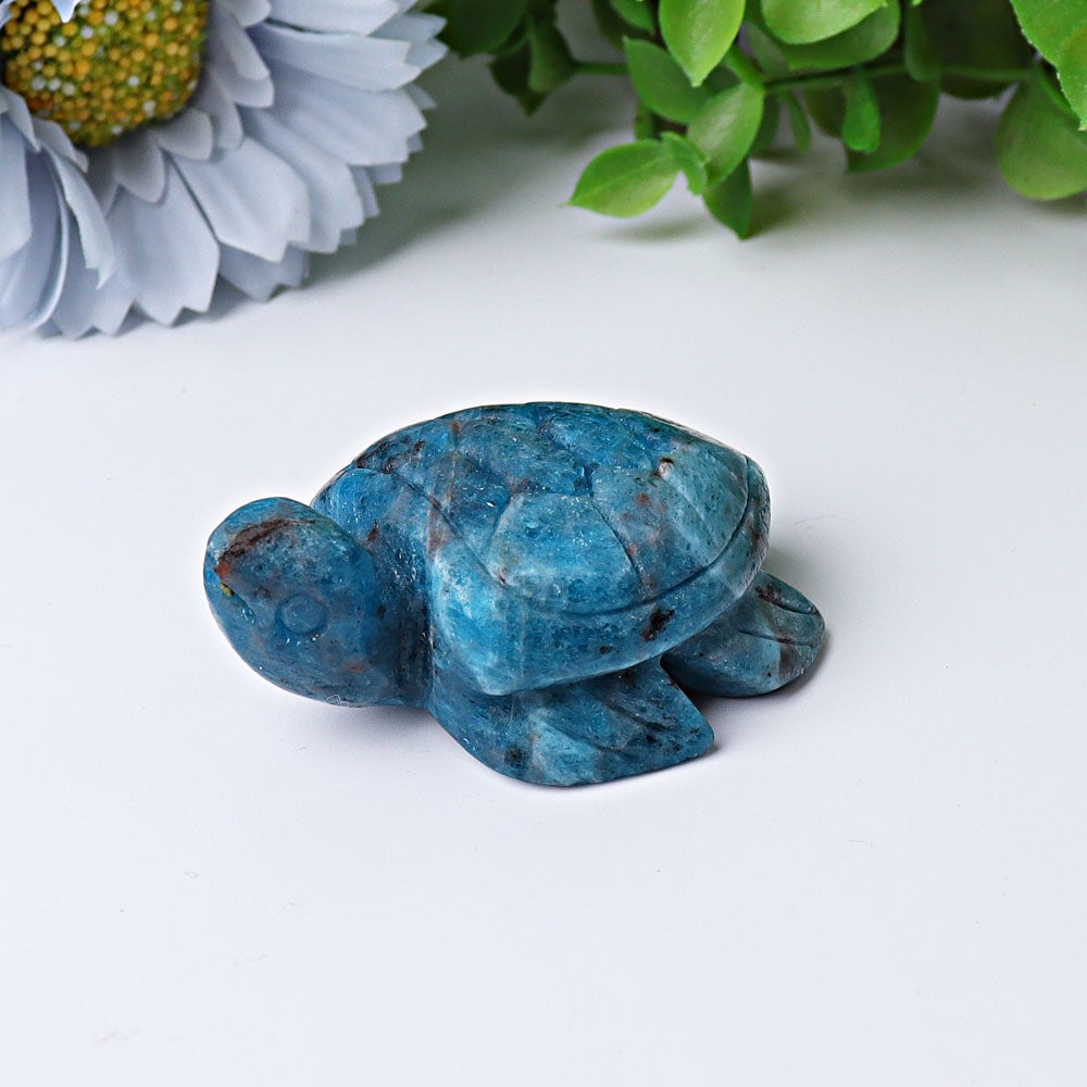 2.3" Blue Apatite Sea Turtle Crystal Carvings Crystal wholesale suppliers