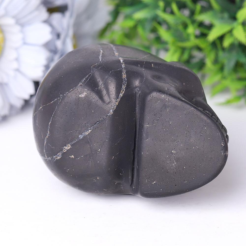 Shcungite Crystal Skull Carvings Crystal wholesale suppliers