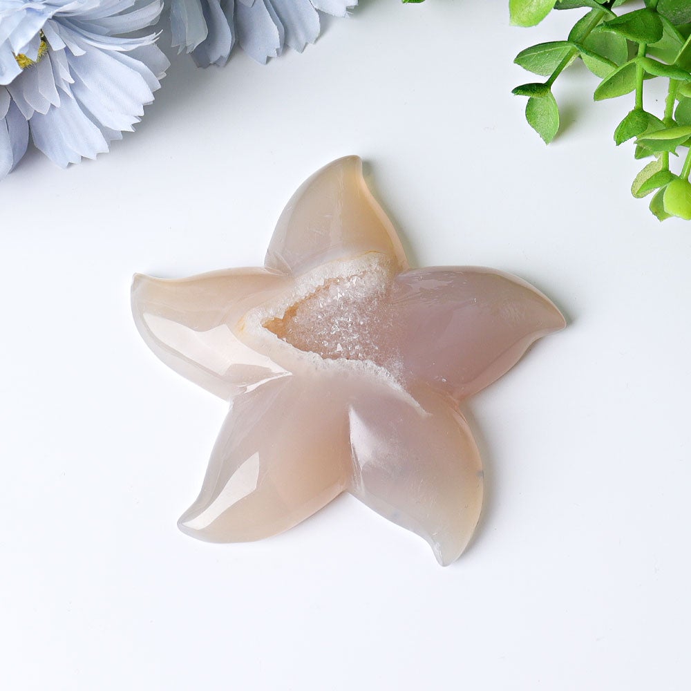 3.0"-3.5" Druzy Agate Starfish Crystal Carvings Crystal wholesale suppliers