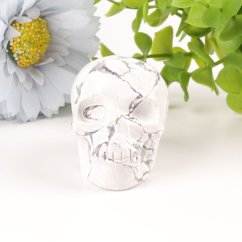 2" Howlite Skull Crystal Carvings Crystal wholesale suppliers