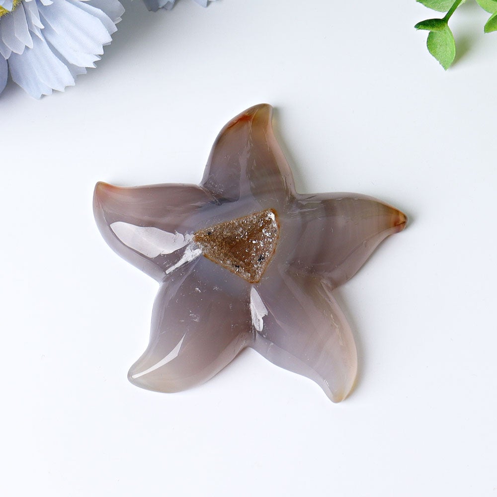 3.0"-3.5" Druzy Agate Starfish Crystal Carvings Crystal wholesale suppliers