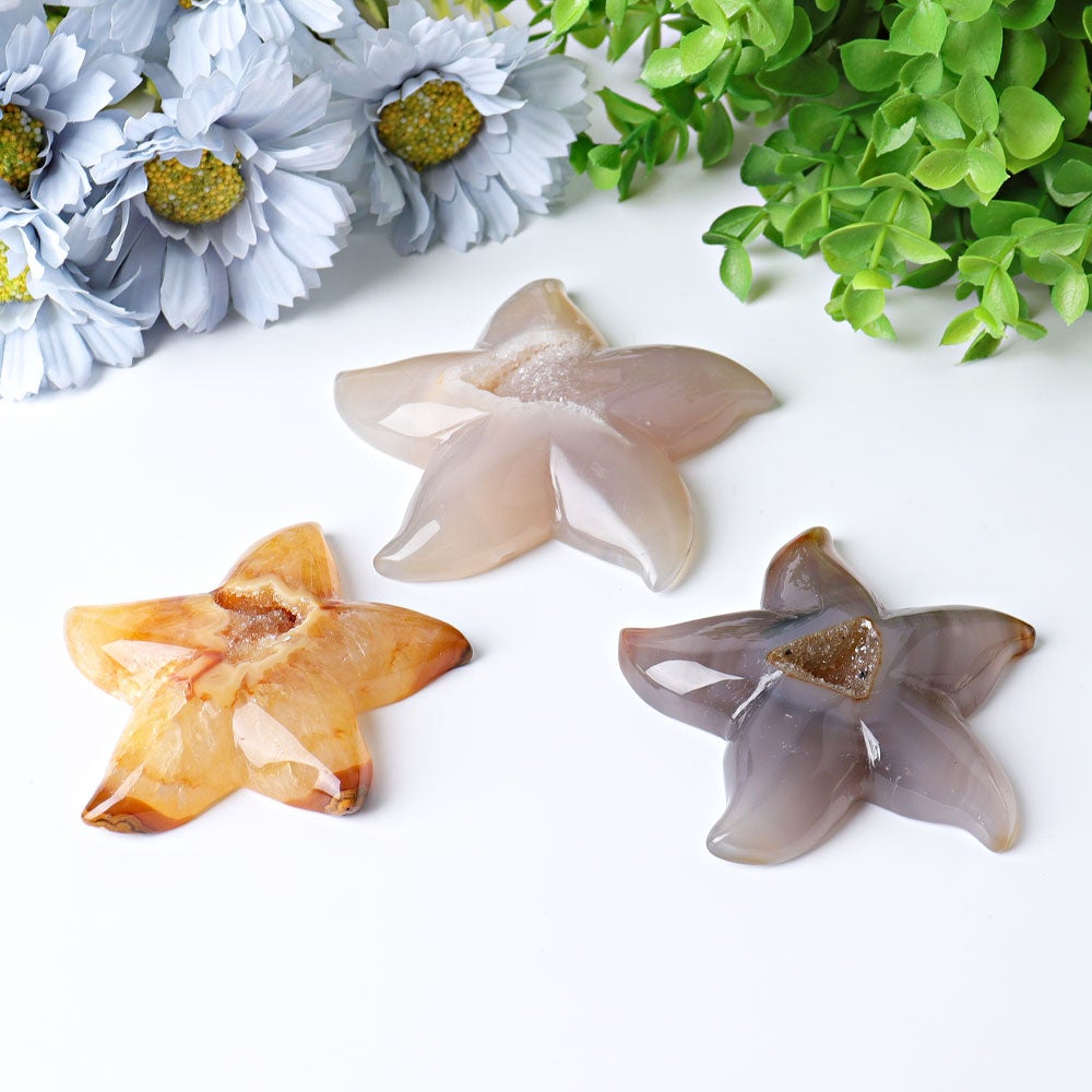 3.0"-3.5" Druzy Agate Starfish Crystal Carvings Crystal wholesale suppliers