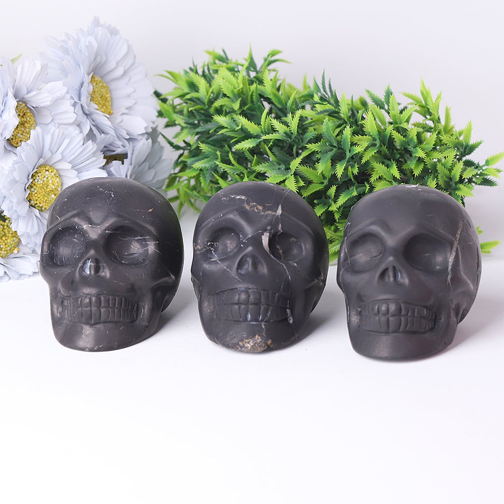 3.6" Unique Shcungite Crystal Skull Carvings for Halloween