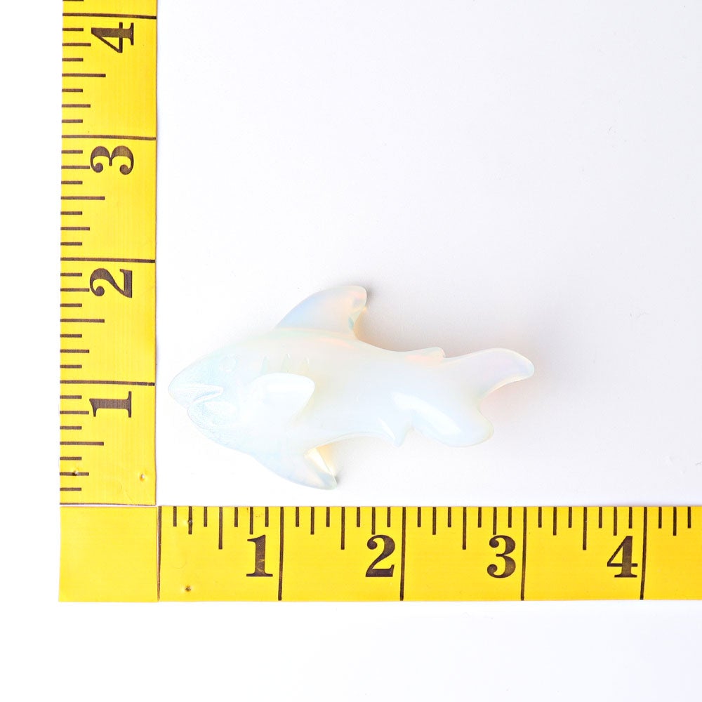 2.9" Opalite Shark Crystal Carvings Crystal wholesale suppliers