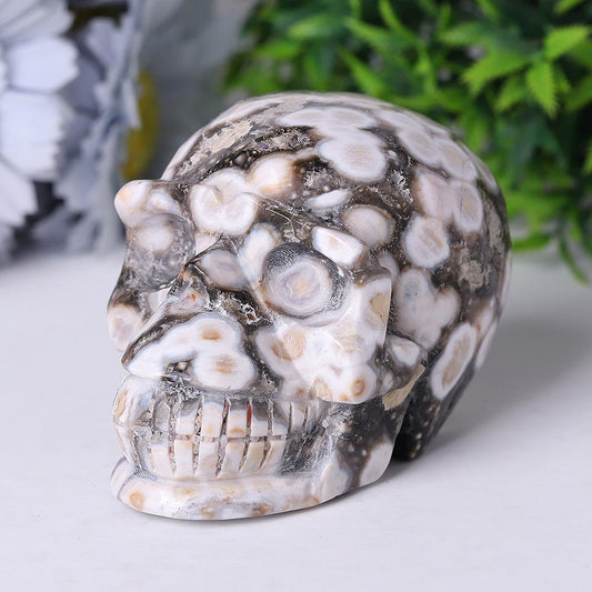 Ocean Jasper Crystal Skull Carvings Crystal wholesale suppliers